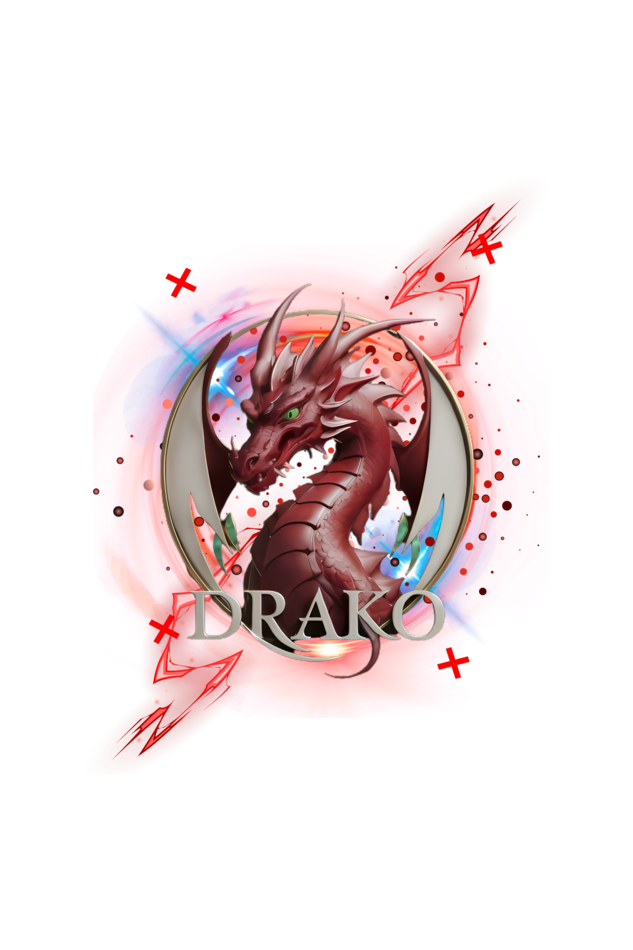 THe cool Drako T-shirt