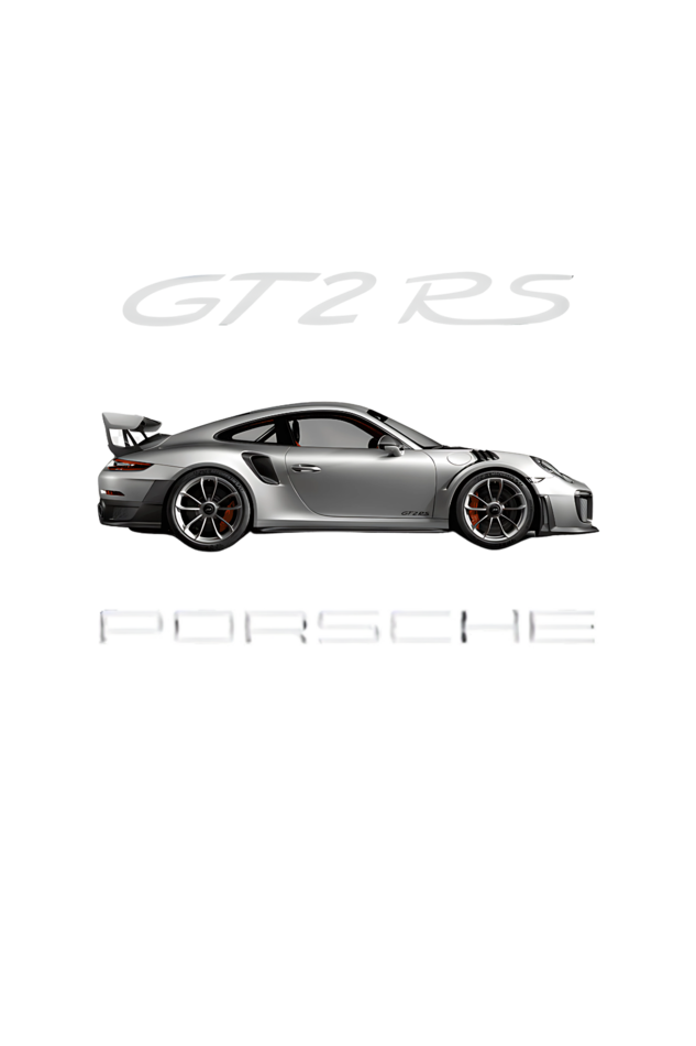 Premium Over Sized porshe gt 2 hoodi